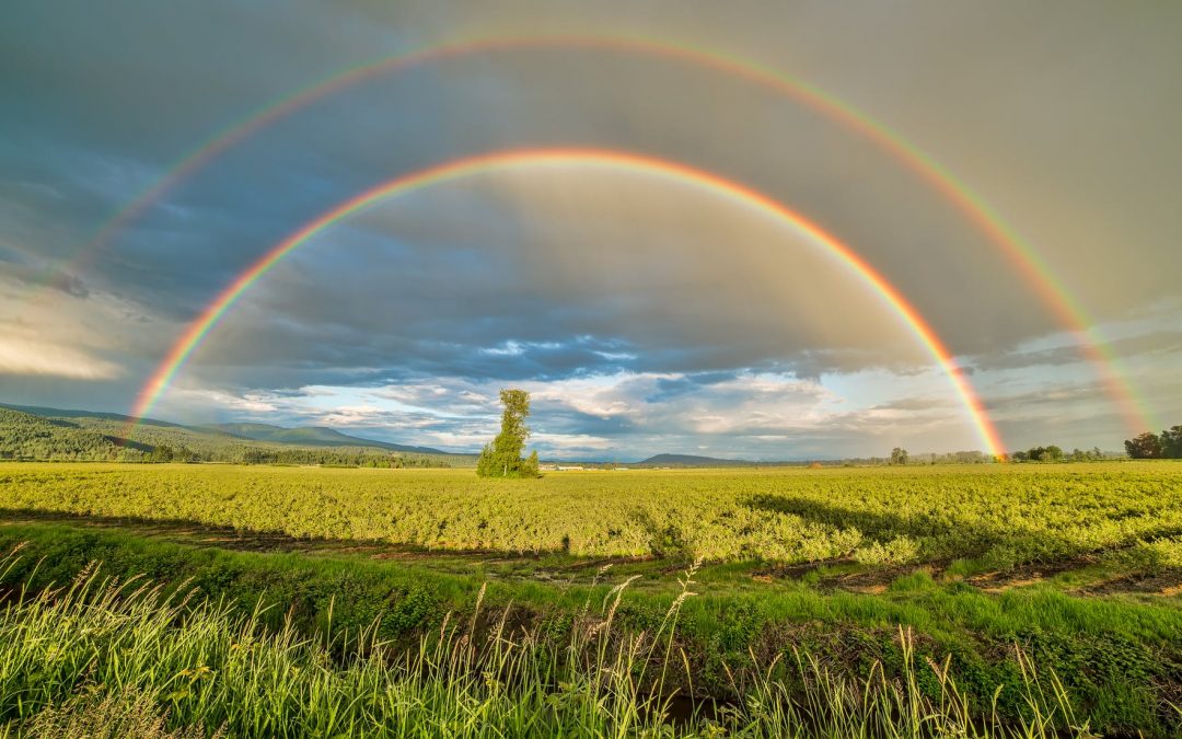 At the end of the rainbow